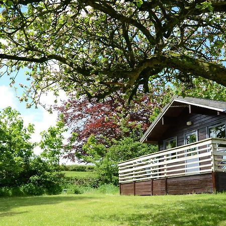 Avallon Lodges Launceston Exterior foto